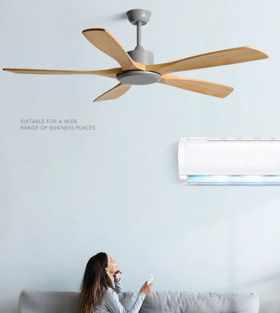 Ventilatore da soffitto Ruha