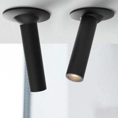 Photine Ceiling Light