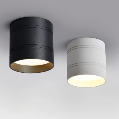 Diversi downlight