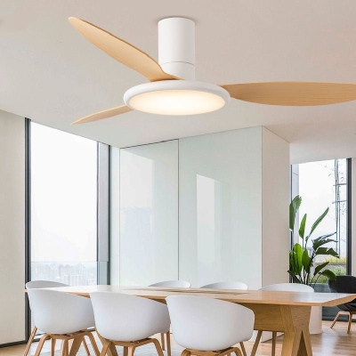 Ventilatore da soffitto Sky