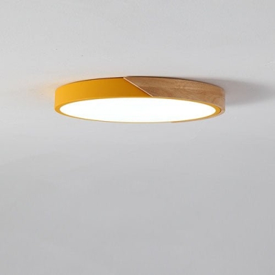 Delphi Ceiling Light
